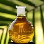 Malaysian-Biofuel-Palm-Oil
