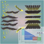 Rechargeable Sodium-Ion Batteries Rechargeable Sodium-Ion Batteries 