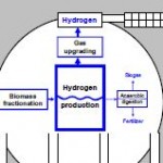 HyTIME - the new European project to secure faster production of biohydrogen