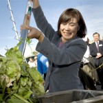 Waste-to-energy technology moves from the lab to the marketplace