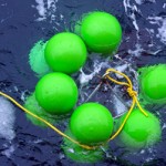 Atmospheric warming altering ocean salinity and the water cycle