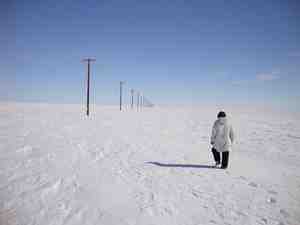 global warming, Arctic tundra, studying the ecosistem, Stan Wullschleger