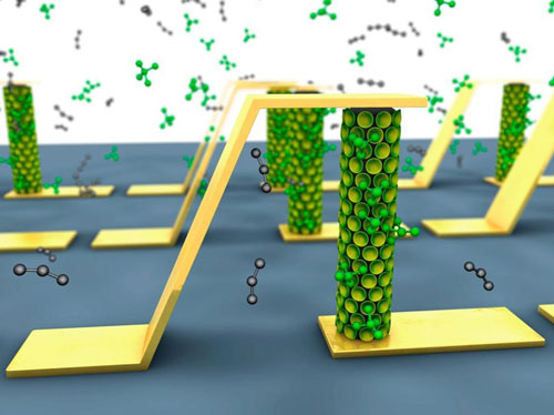 Nitrogen dioxide gas sensor based on vertically-grown In As nanowires