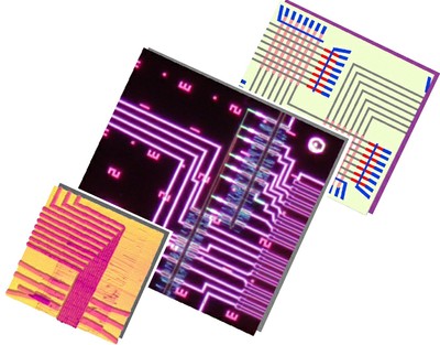 The world's first programmable nanoprocessor unveiled