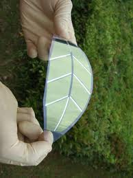 nanotechnology - organic solar cells