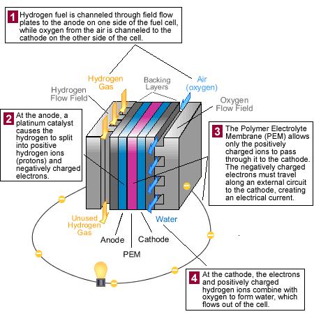 Fuel Cell Hybrid Vehicles