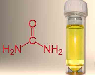 hydrogen-from-urine-alternative-fuel