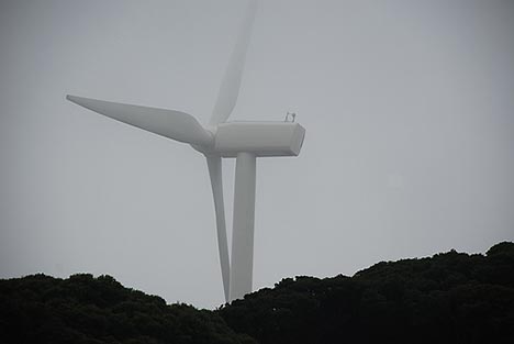 Japanese Wind Power Plants Survive the Earthquake