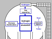 HyTIME - biohydrogen