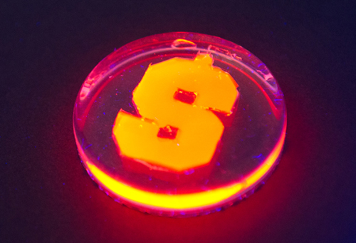 nanotechnology to harness the power of fireflies